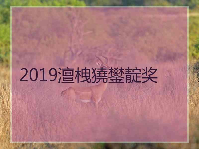 2019澶栧獟鐢靛奖 2019澶栧獟鐢靛奖