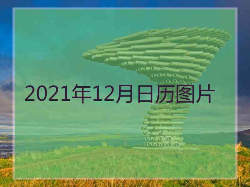 2021年12月日历图片 2021年12月日历图片