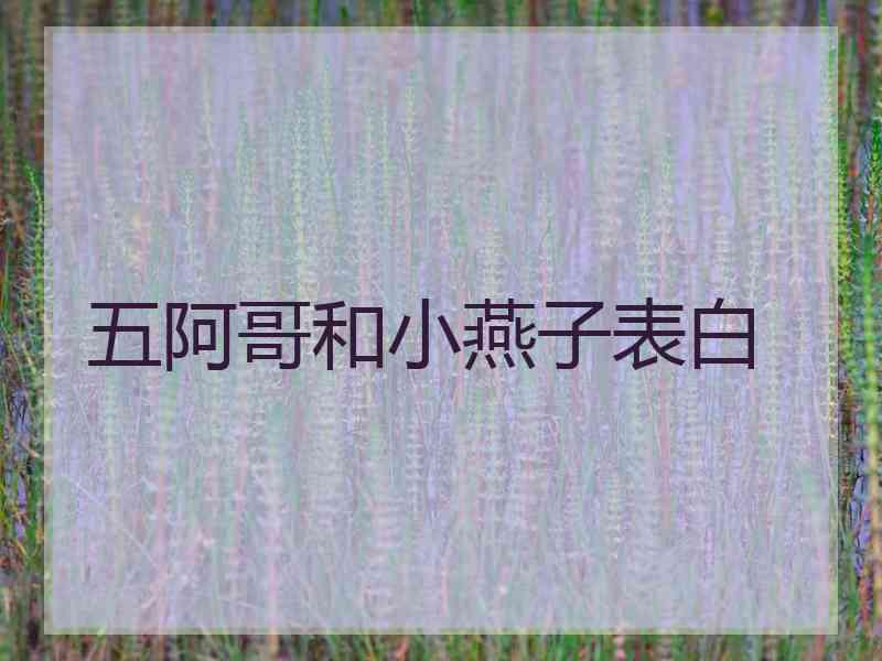 五阿哥和小燕子表白 五阿哥和小燕子表白