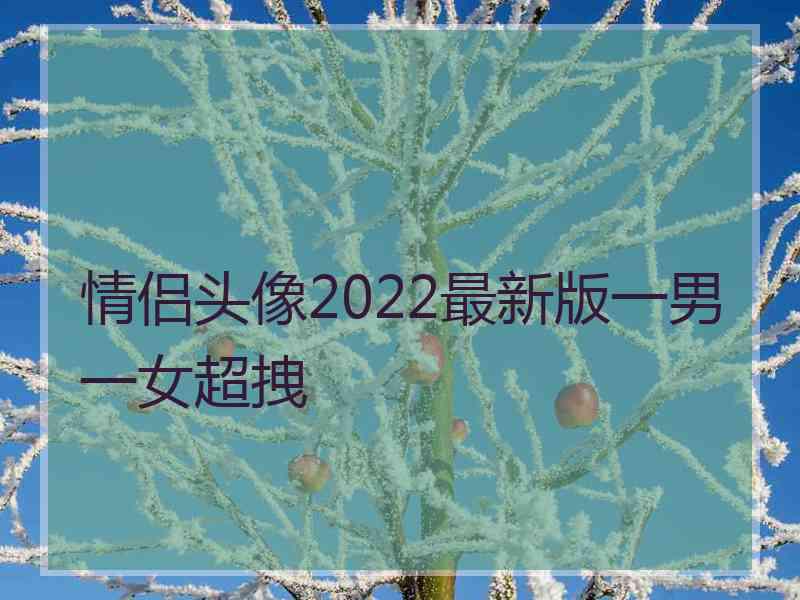 情侣头像2022最新版一男一女超拽