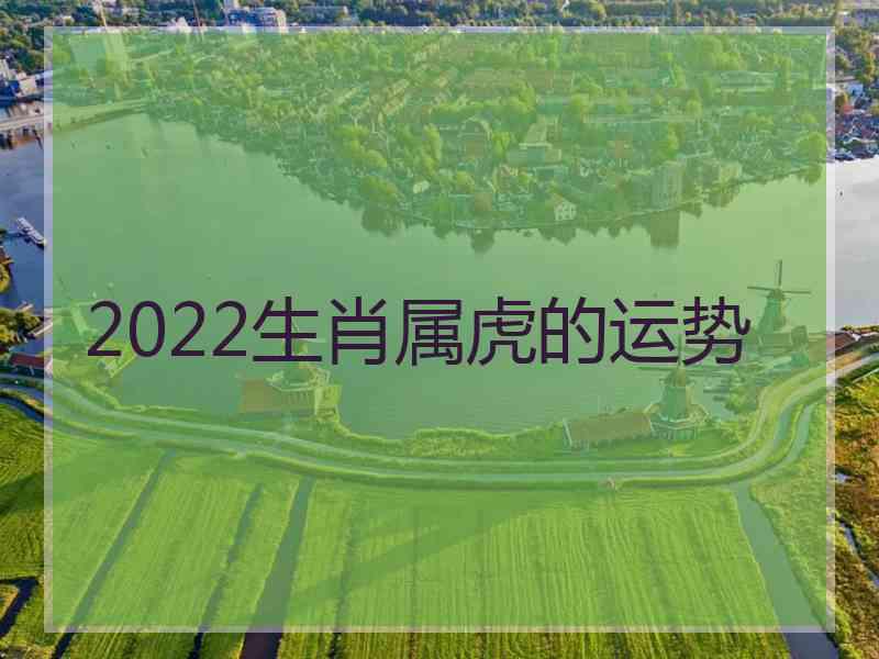 2022生肖属虎的运势