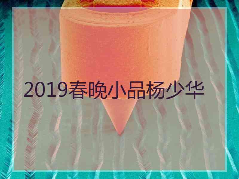 2019春晚小品杨少华