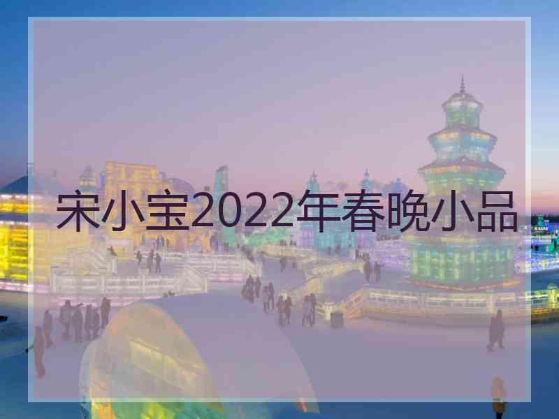 宋小宝2022年春晚小品