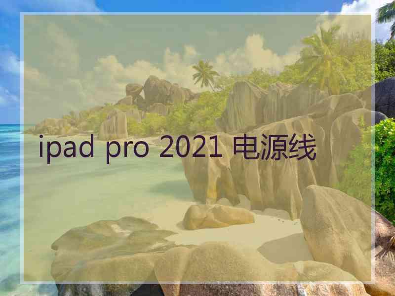 ipad pro 2021 电源线