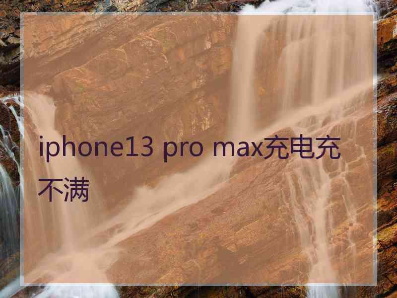 iphone13 pro max充电充不满