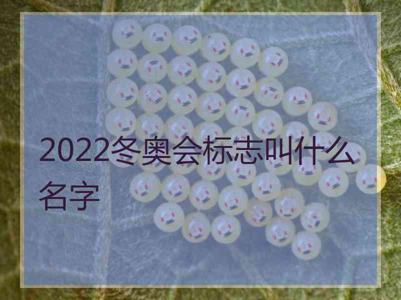 2022冬奥会标志叫什么名字