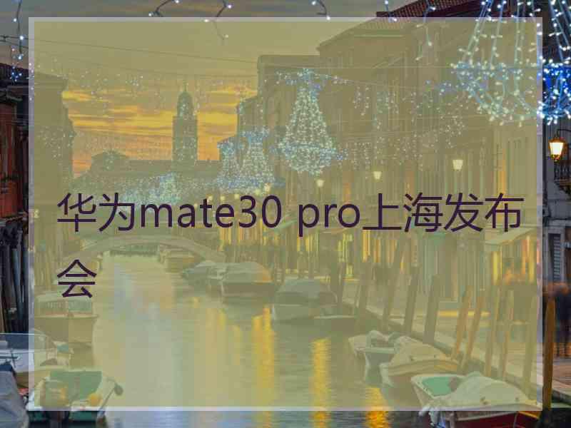 华为mate30 pro上海发布会