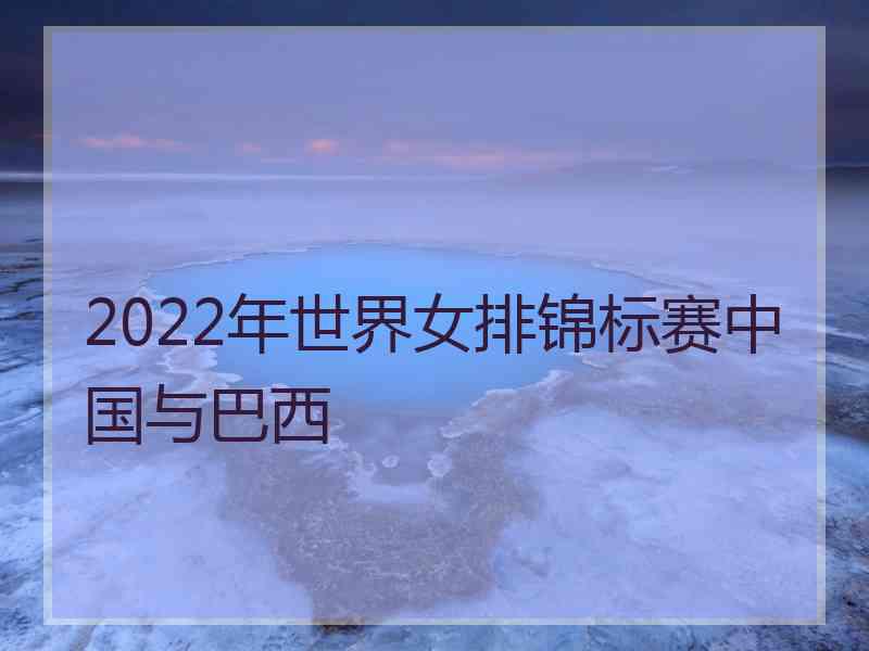 2022年世界女排锦标赛中国与巴西