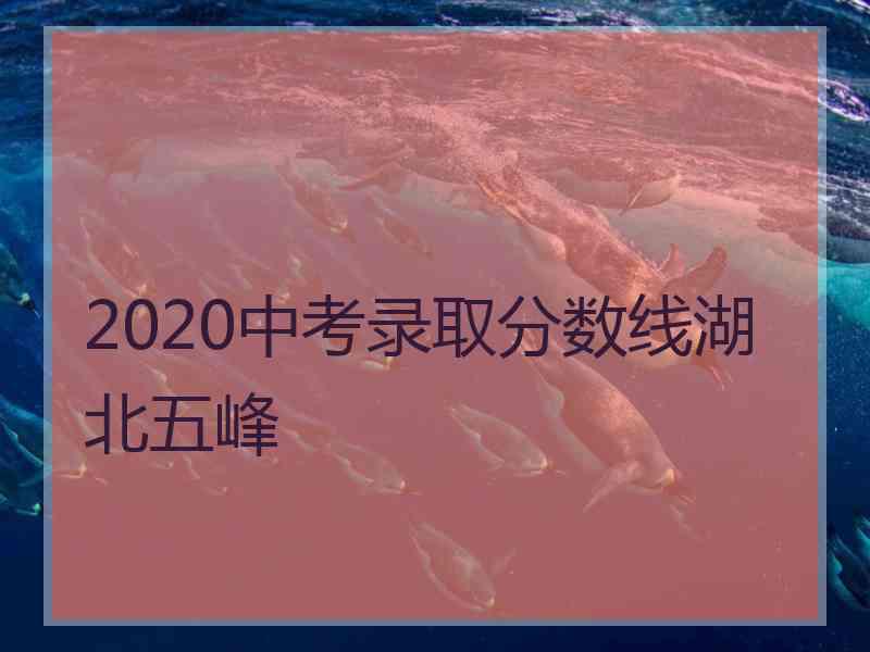 2020中考录取分数线湖北五峰