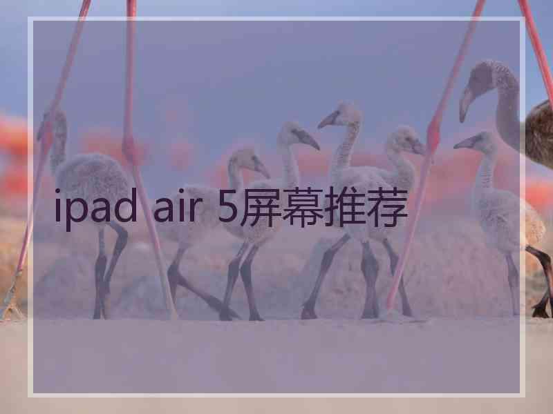 ipad air 5屏幕推荐