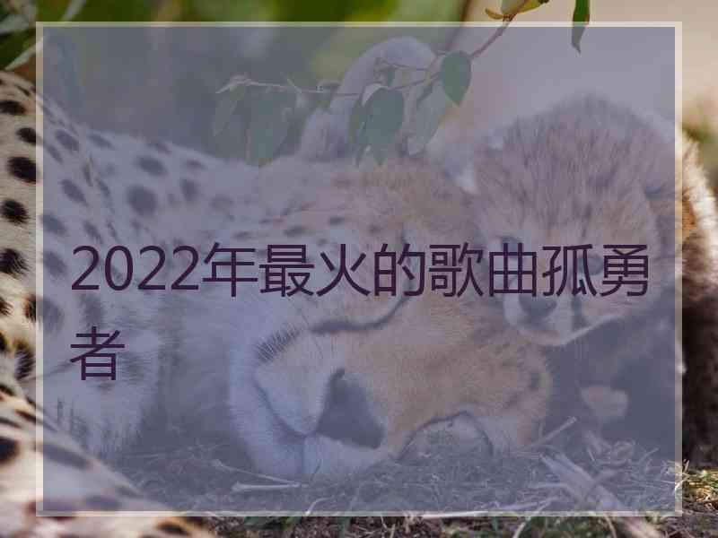 2022年最火的歌曲孤勇者