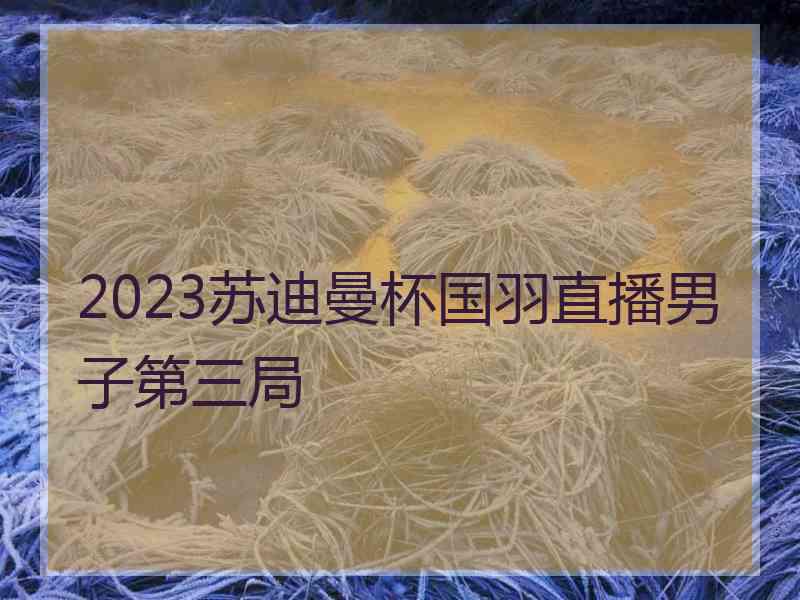 2023苏迪曼杯国羽直播男子第三局