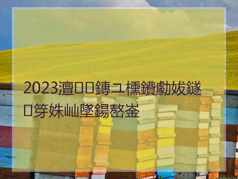 2023澶鏄ユ櫄鐨勮妭鐩笌姝屾墜鍚嶅崟