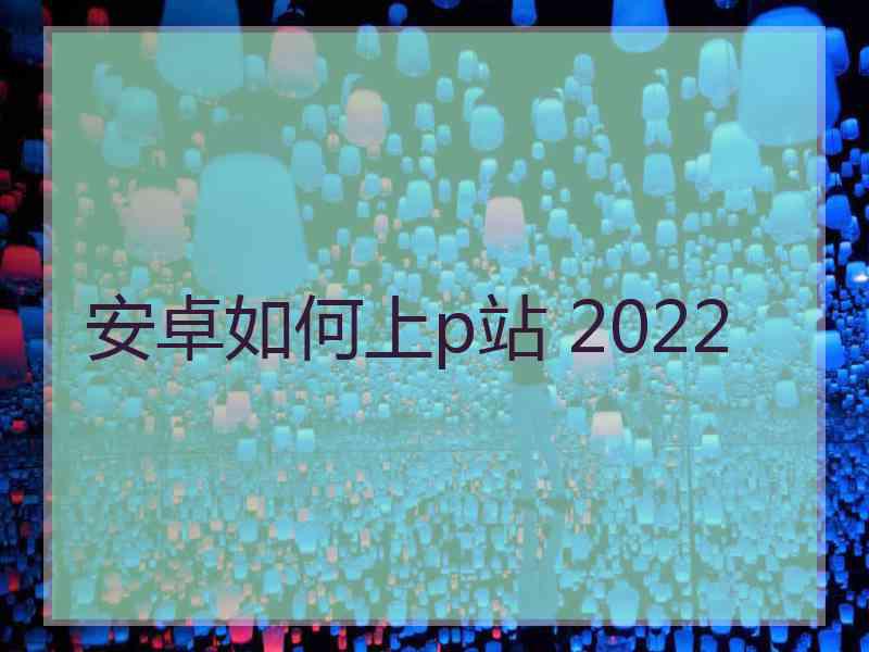 安卓如何上p站 2022