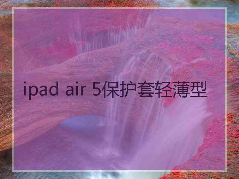 ipad air 5保护套轻薄型