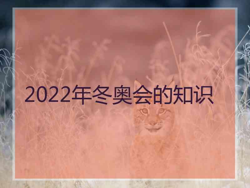 2022年冬奥会的知识