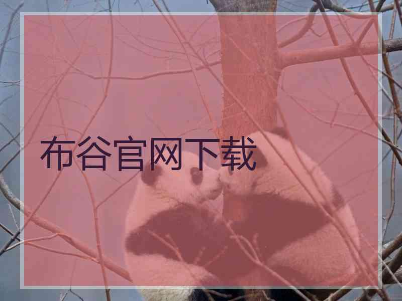 布谷官网下载