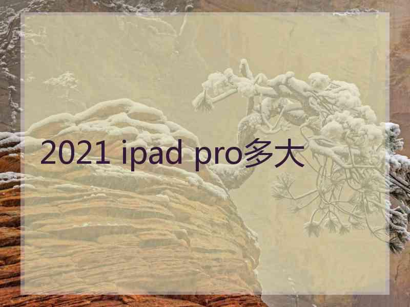 2021 ipad pro多大