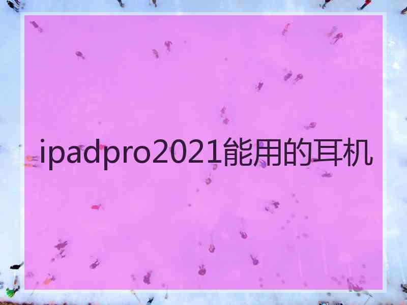 ipadpro2021能用的耳机