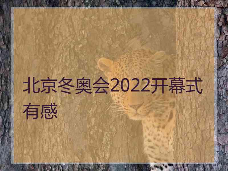 北京冬奥会2022开幕式有感