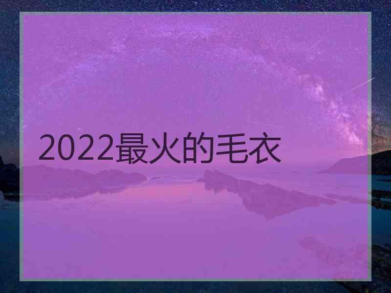 2022最火的毛衣