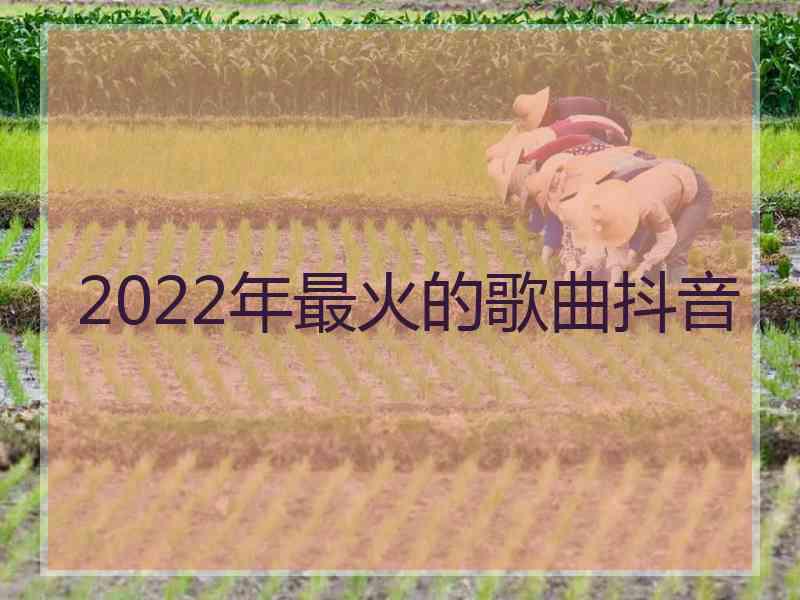 2022年最火的歌曲抖音