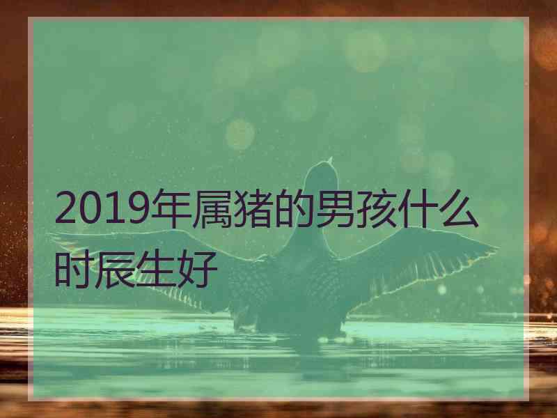 2019年属猪的男孩什么时辰生好