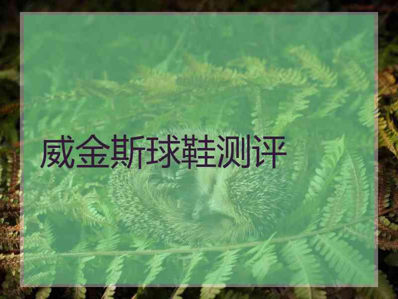 威金斯球鞋测评