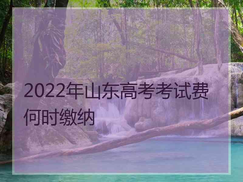 2022年山东高考考试费何时缴纳