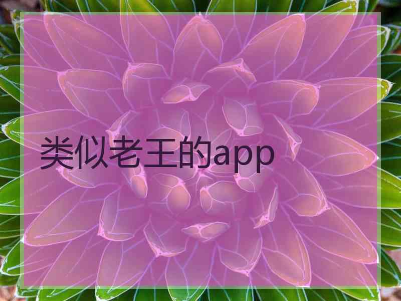 类似老王的app