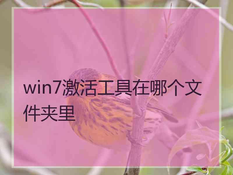 win7激活工具在哪个文件夹里