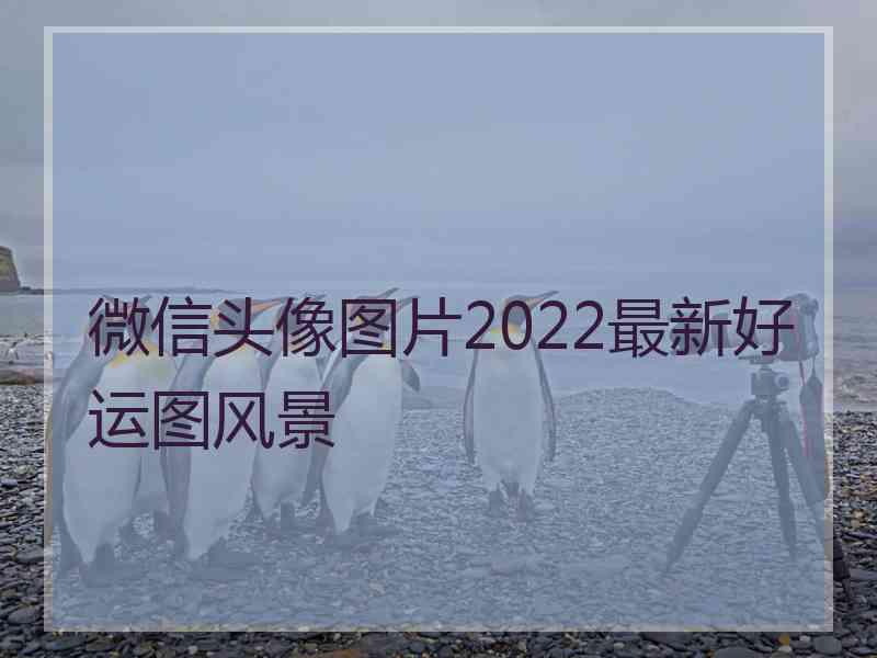 微信头像图片2022最新好运图风景