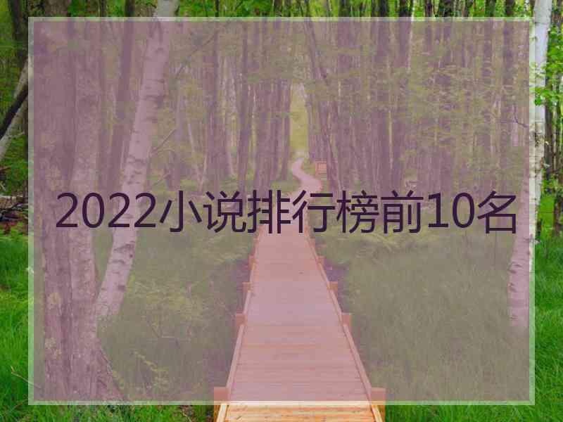 2022小说排行榜前10名