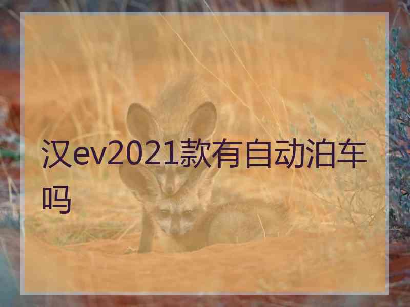 汉ev2021款有自动泊车吗