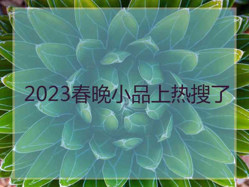 2023春晚小品上热搜了