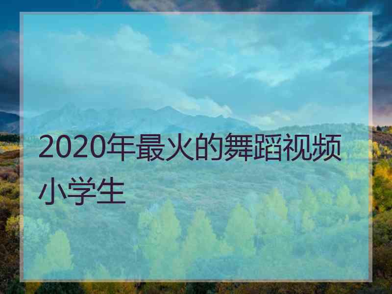 2020年最火的舞蹈视频小学生