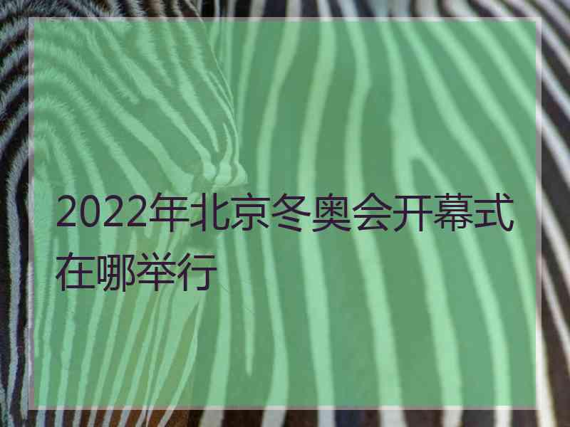 2022年北京冬奥会开幕式在哪举行