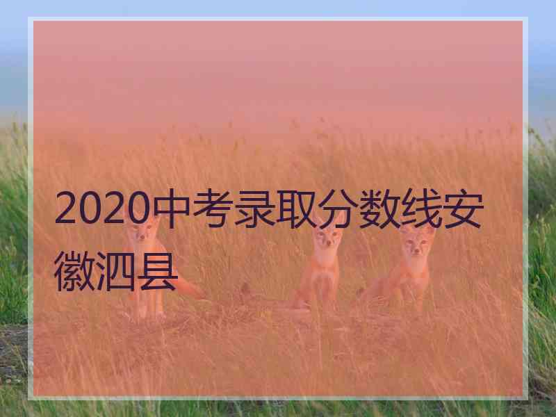 2020中考录取分数线安徽泗县