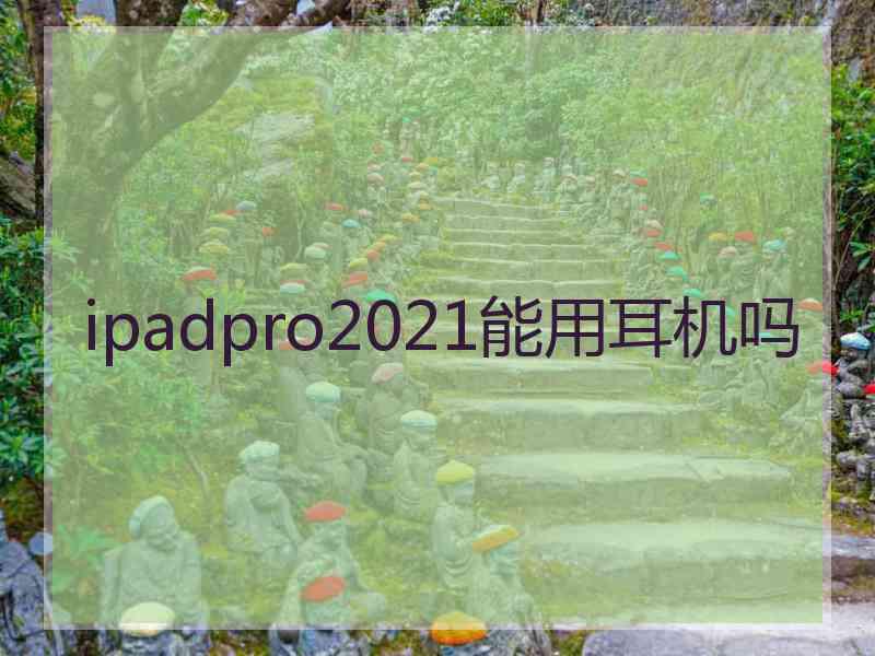 ipadpro2021能用耳机吗