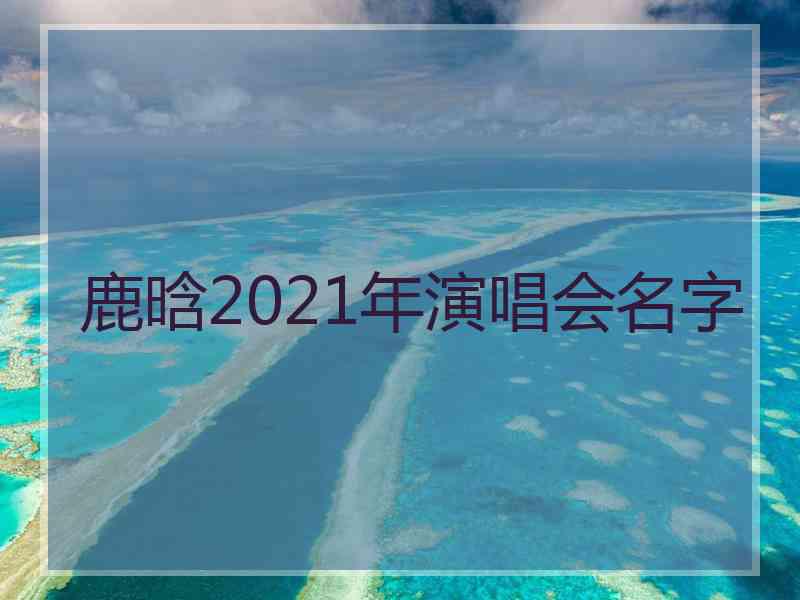 鹿晗2021年演唱会名字