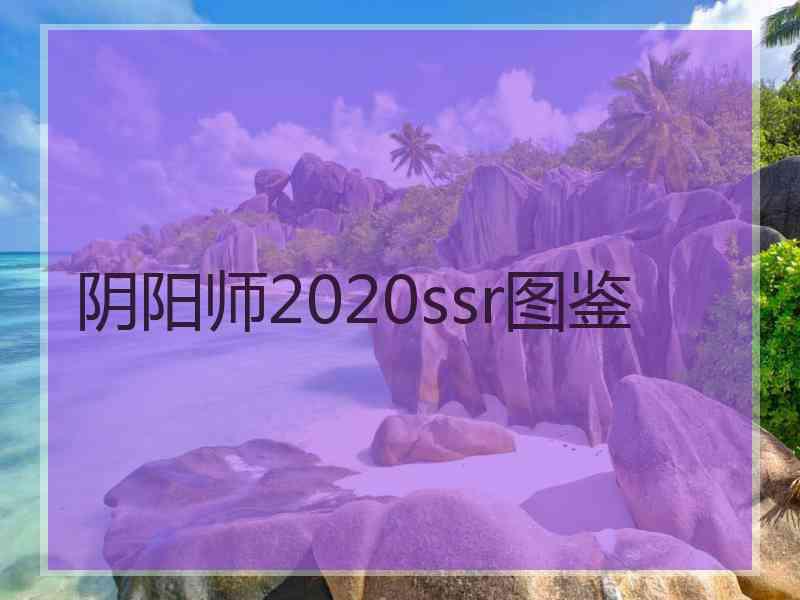 阴阳师2020ssr图鉴