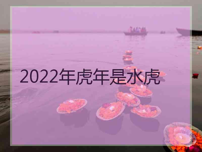 2022年虎年是水虎