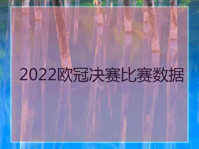 2022欧冠决赛比赛数据