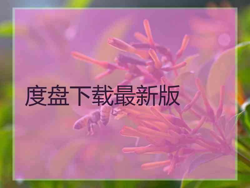 度盘下载最新版