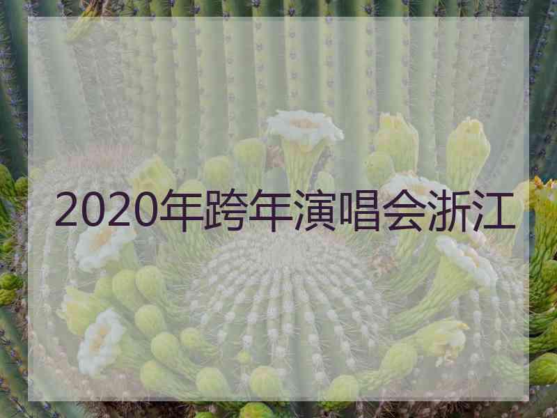 2020年跨年演唱会浙江