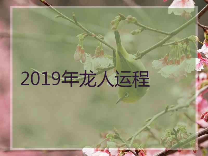 2019年龙人运程