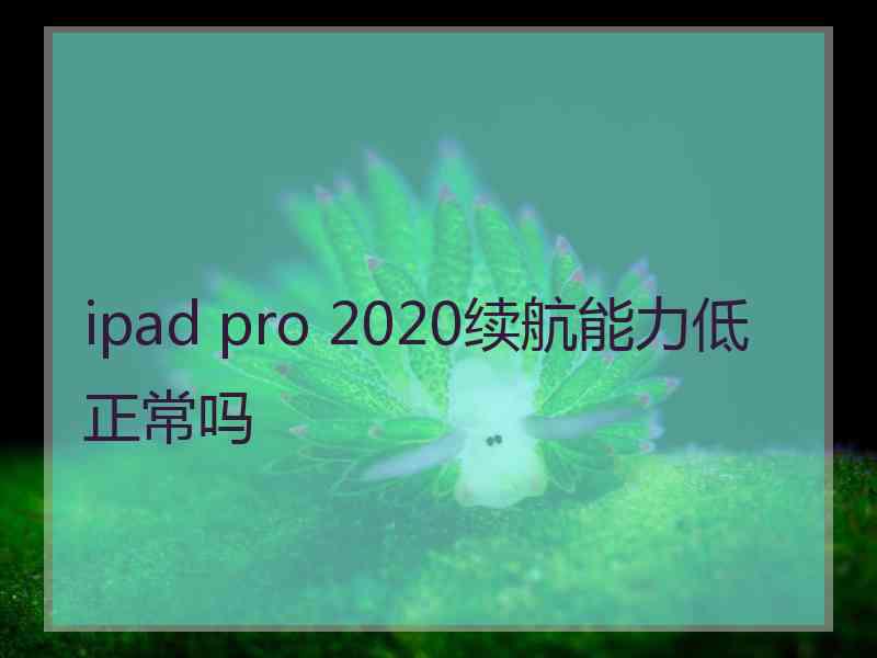 ipad pro 2020续航能力低正常吗