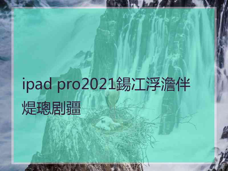 ipad pro2021鍚冮浮澹伴煶璁剧疆