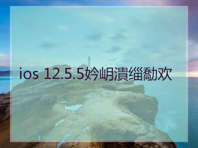 ios 12.5.5妗岄潰缁勪欢