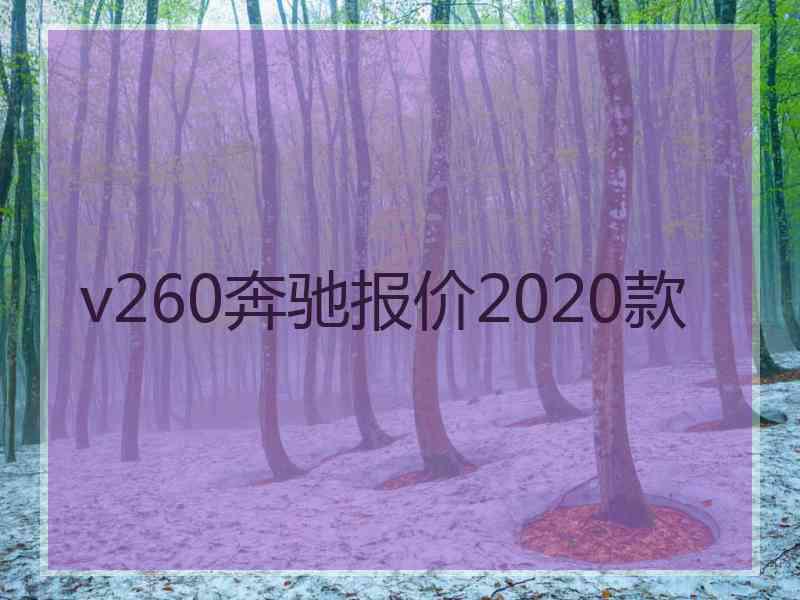 v260奔驰报价2020款